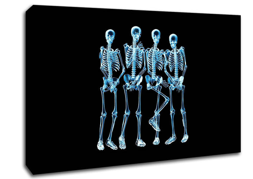 Funny Bones Canvas Wall Art