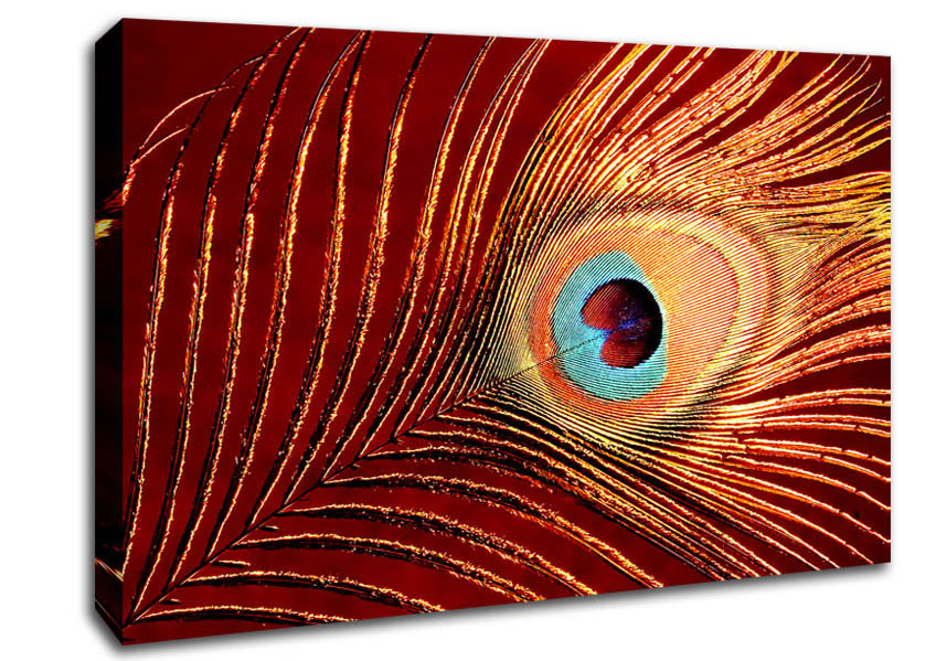 Peacock Feather 06 Canvas Wall Art