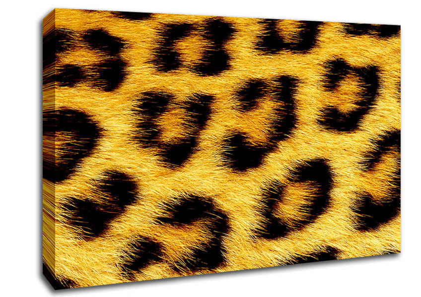 Leopard Print Canvas Wall Art
