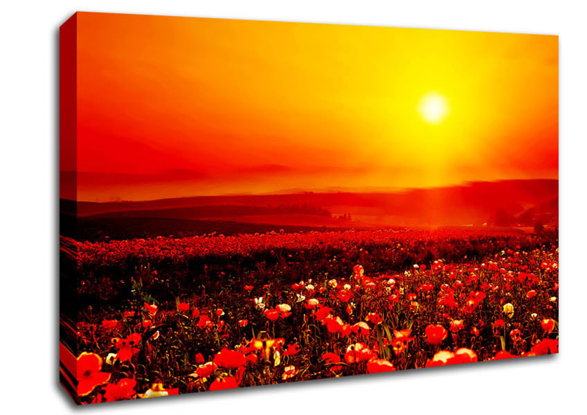 Poppy Field Mist Canvas Wall Art