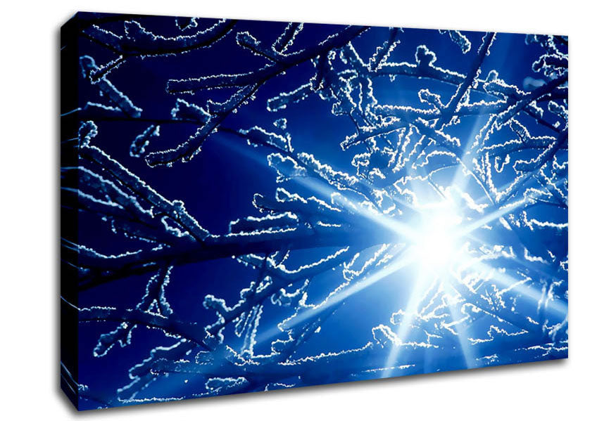 Winter Sun Rays Canvas Wall Art