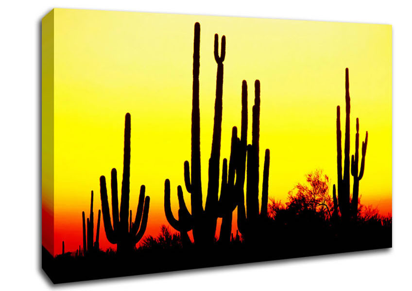 Desert Cactus Sunrise Canvas Wall Art