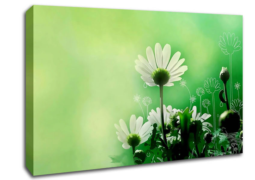 Green Daisy Garden Canvas Wall Art