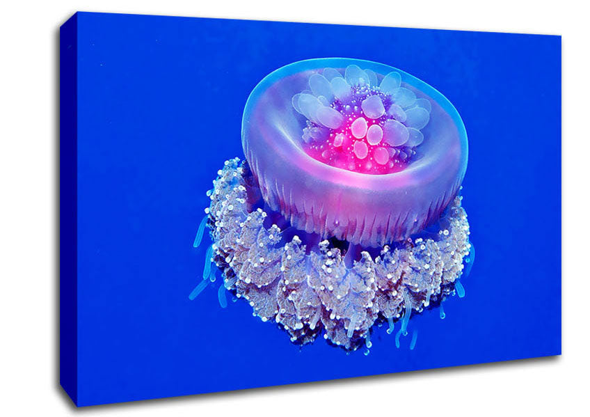 Neon Jellyfish Canvas Wall Art