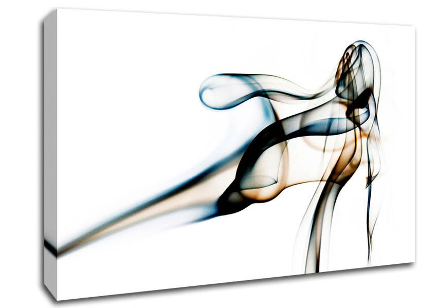 Smoke Ribbons Canvas Wall Art