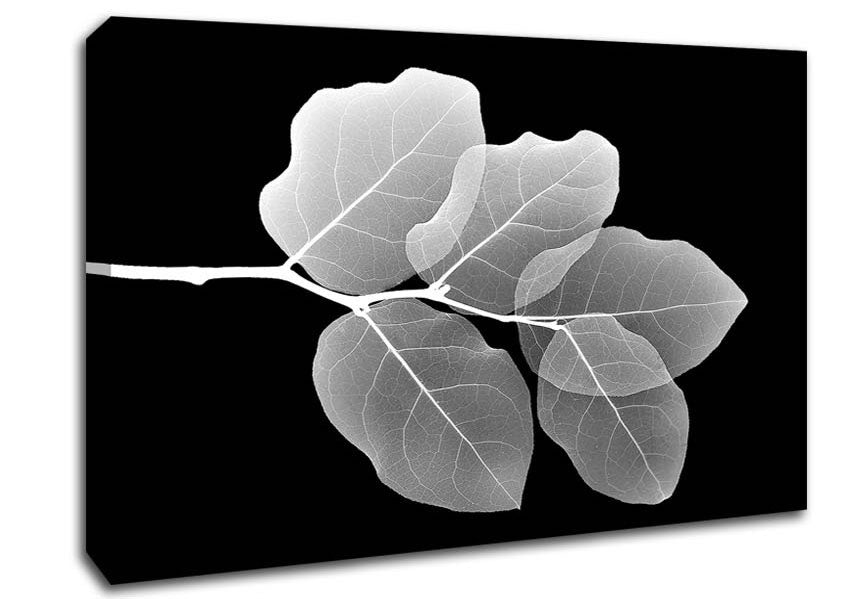 Winter Leaf Canvas Wall Art