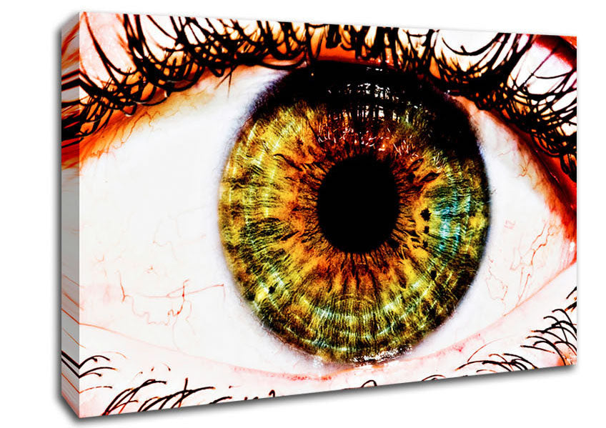 Big Eye Canvas Wall Art
