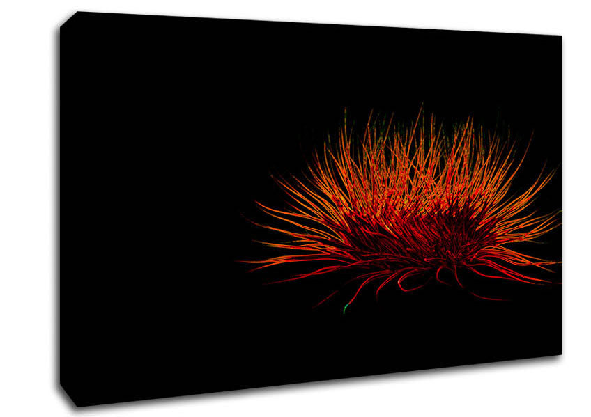 Red Thing Canvas Wall Art