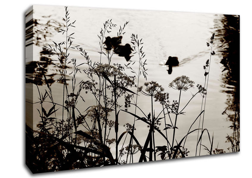 Chocolate Lake Canvas Wall Art