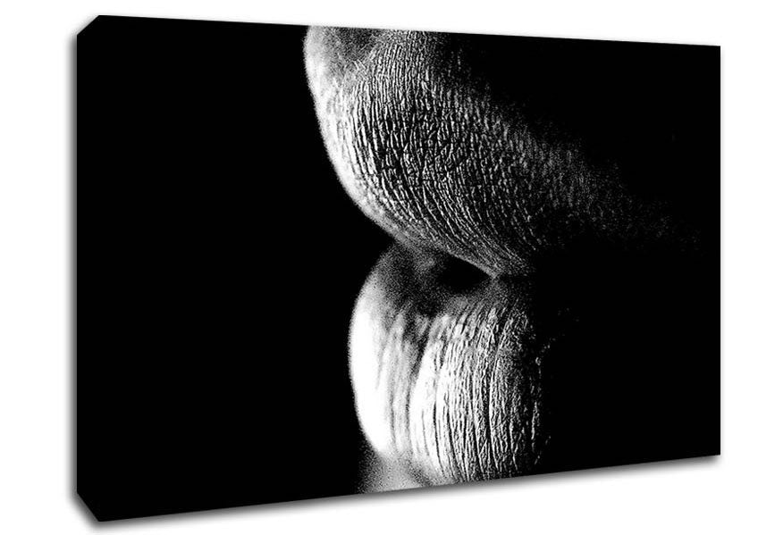 Sensual Lips B n W Canvas Wall Art