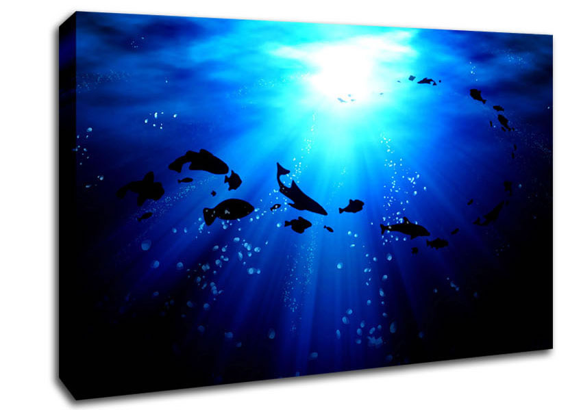 Life Under The Ocean Canvas Wall Art