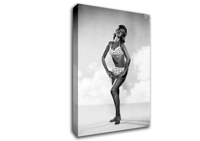 Sandra Dee Canvas Wall Art