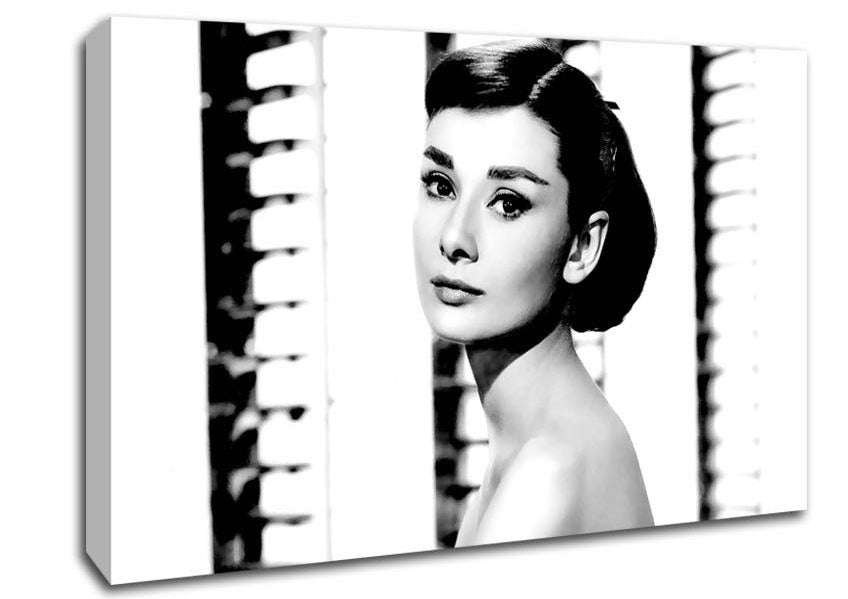 Audrey Hepburn Canvas Wall Art
