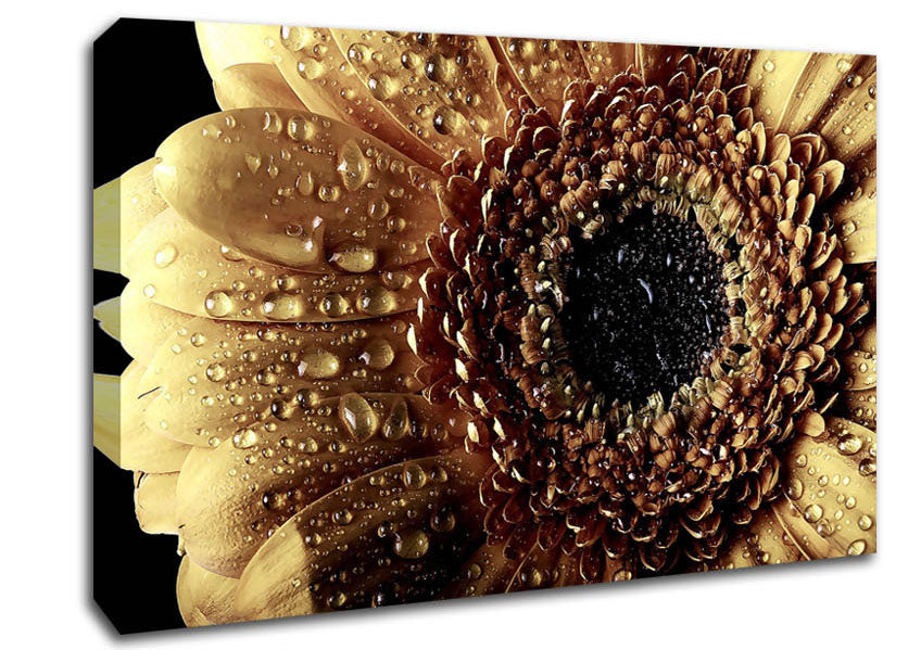 Gerbera Vintage Canvas Wall Art