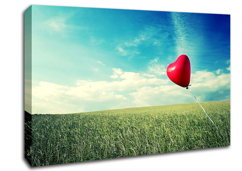 Alone Heart Flying Canvas Wall Art