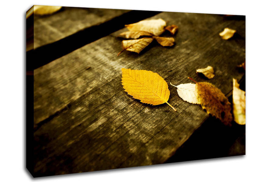 Autumn Leaves On The Deck Canvas Wall Art