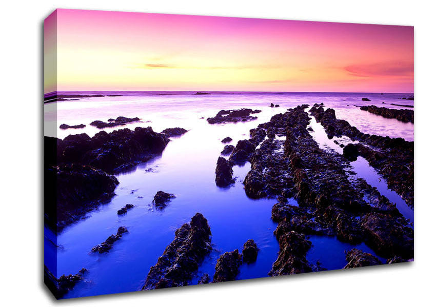Fitzgerald Low Tide Canvas Wall Art