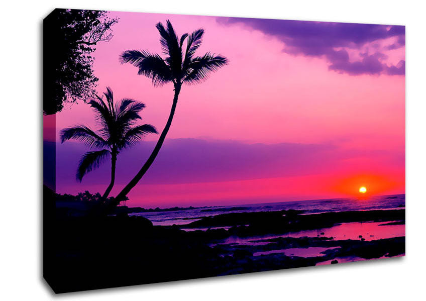 Blaze Of The Palmtree Sun Canvas Wall Art