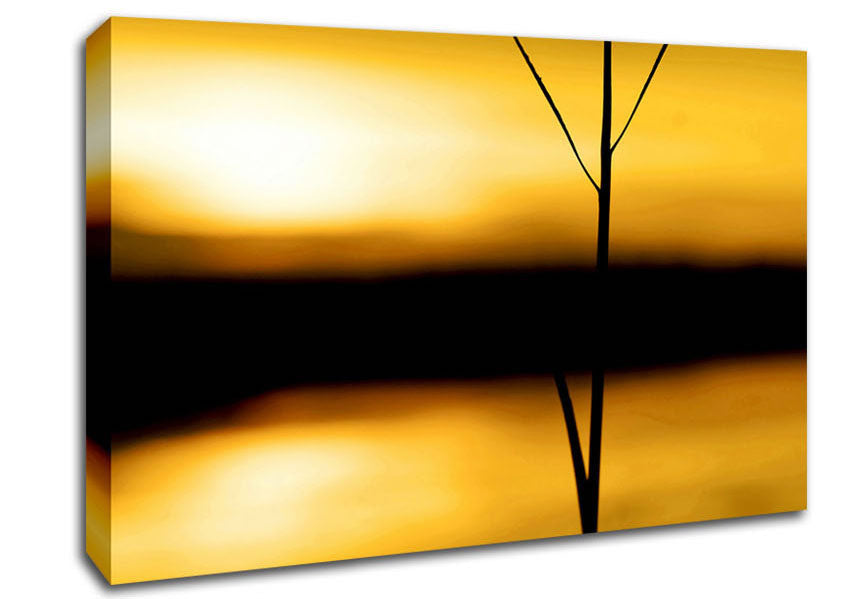 Golden Lake Reflections Canvas Wall Art