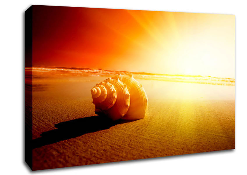 Seashell And Sun Canvas Wall Art