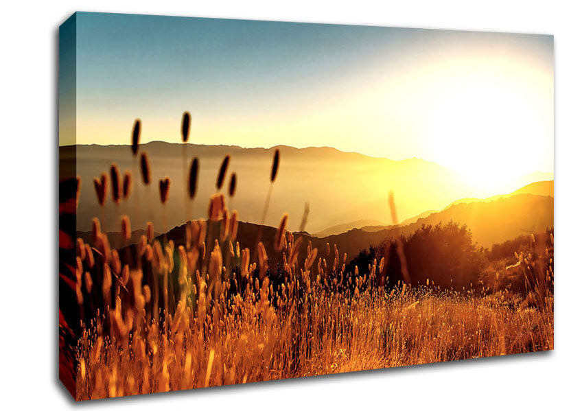 Late Summer Field Canvas Wall Art