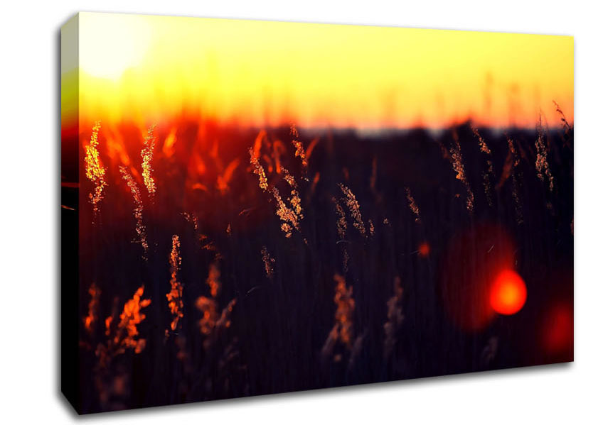 Hot Sunset Canvas Wall Art