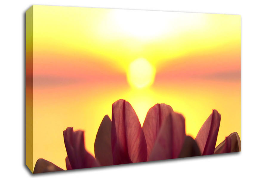 Life Source Canvas Wall Art