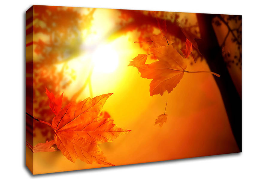 Orange Autumn Canvas Wall Art