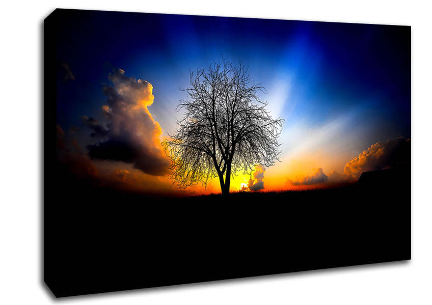 The Next Morning Canvas Wall Art
