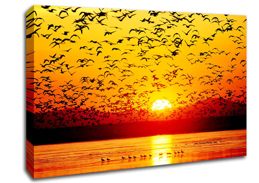 The Birds In The Golden Sunset Canvas Wall Art