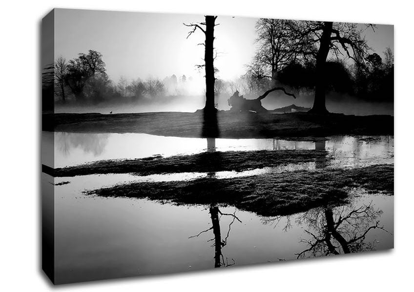 Sunset Forest Waters B n W Canvas Wall Art