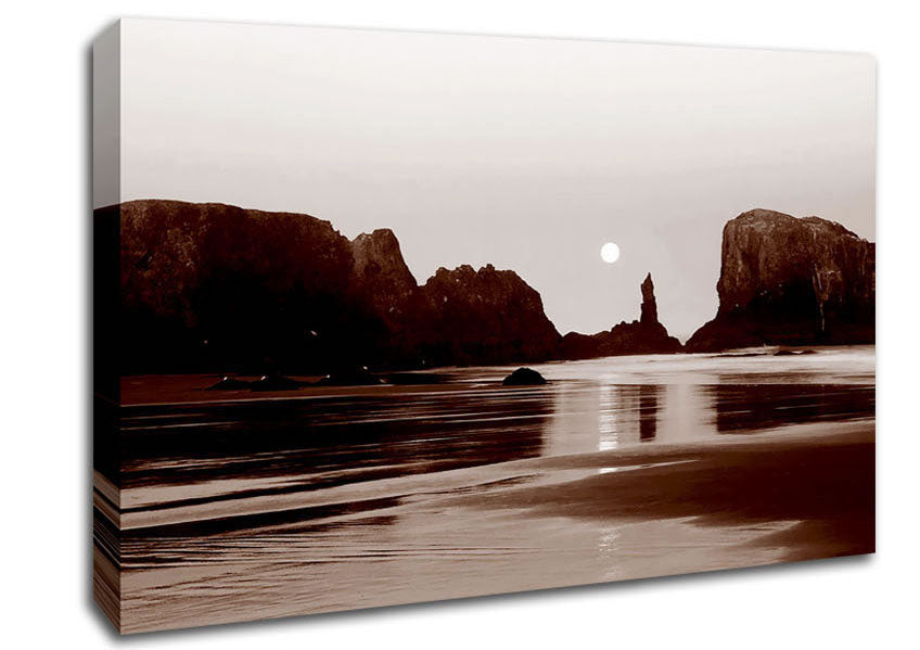 Chocolate Ocean Rocks Canvas Wall Art