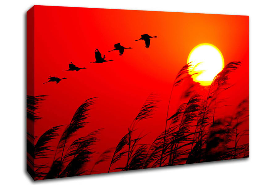 Geese In Flight Under The Red Sun Canvas Wall Art