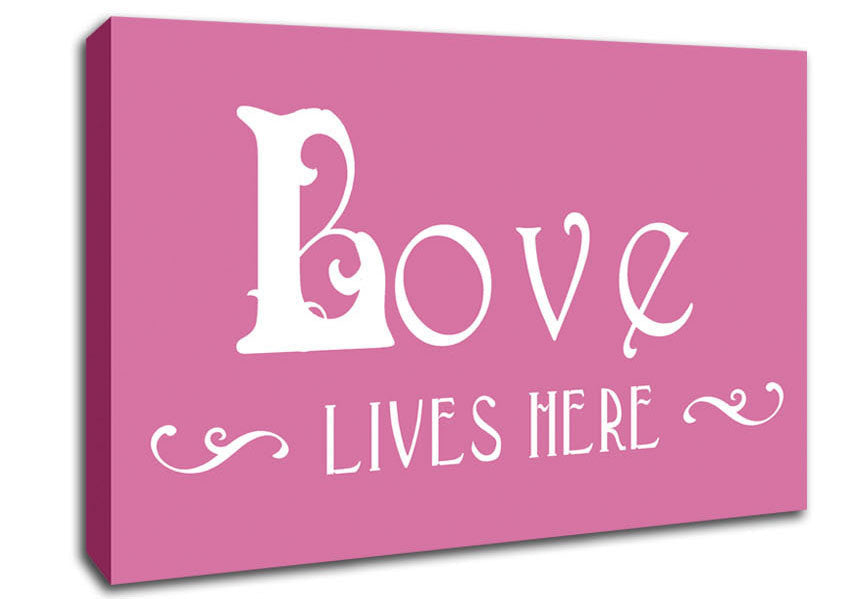 Love Quote Love Lives Here Vines Pink Canvas Wall Art