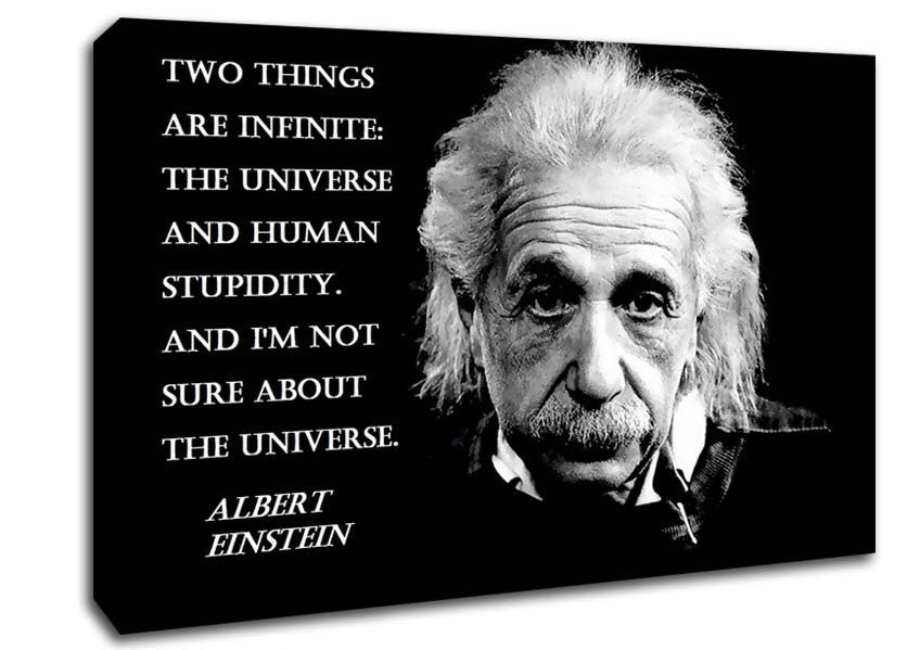 Motivational Quote Albert Einstein The Universe Canvas Wall Art