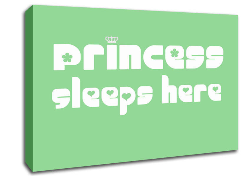 Nursery Quote Princess sleeps 2 Green Canvas Wall Art