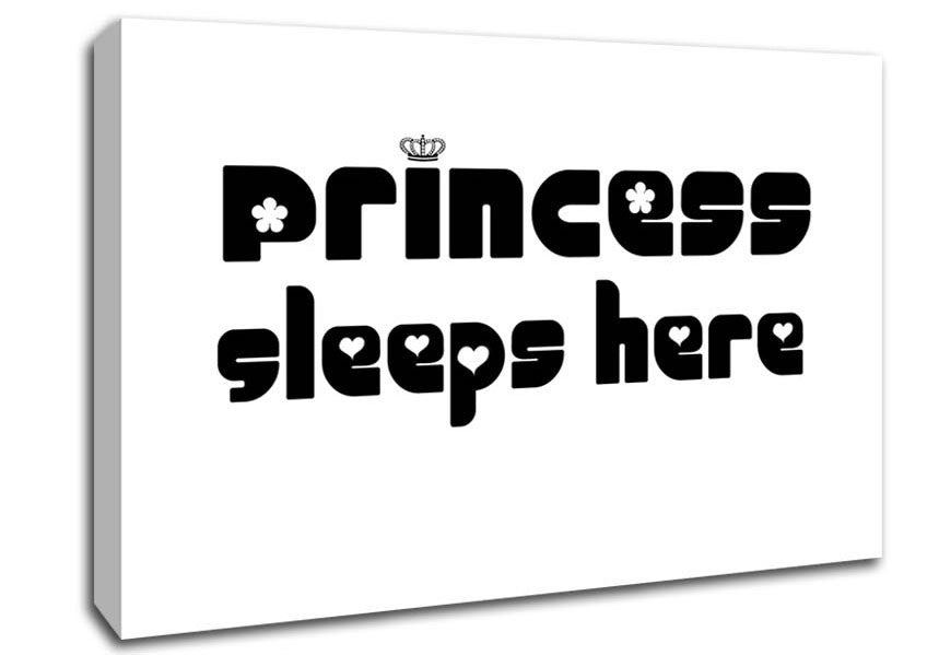 Princesss Sleeps Here 2 White Canvas Wall Art