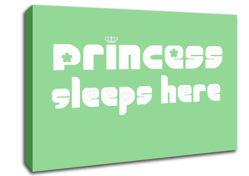 Princesss Sleeps Here 2 Green Canvas Wall Art