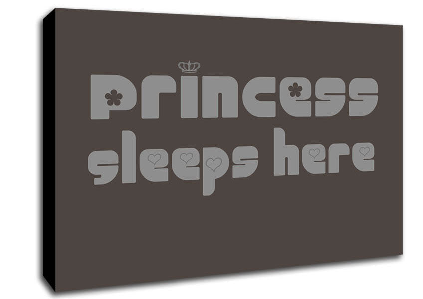 Princesss Sleeps Here 2 Chocolate Canvas Wall Art