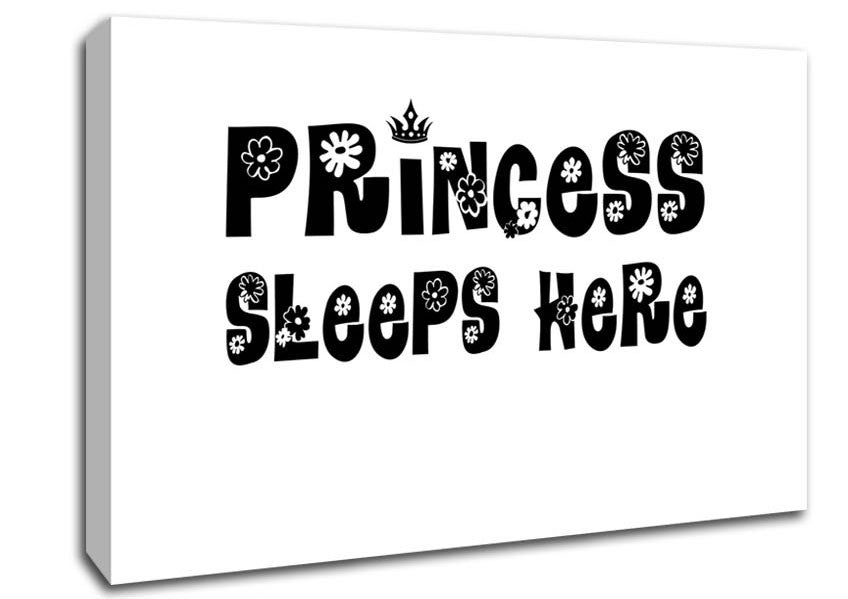 Princesss Sleeps Here White Canvas Wall Art