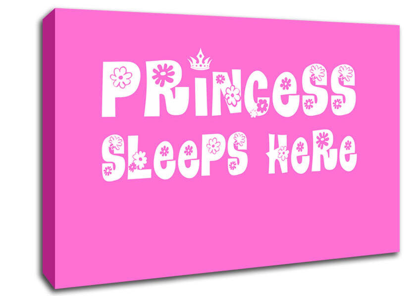 Nursery Quote Princesss Sleeps Here Vivid Pink Canvas Wall Art