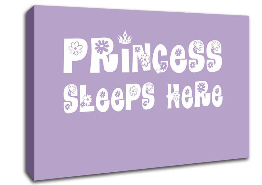 Nursery Quote Princesss Sleeps Here Lilac Canvas Wall Art