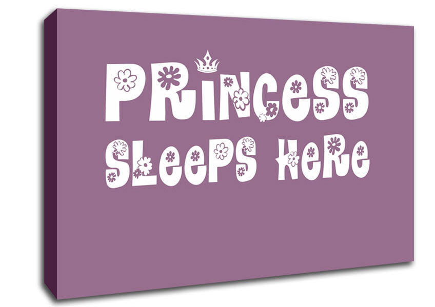 Girls Room Quote Princesss Sleeps Here Dusty Pink Canvas Wall Art
