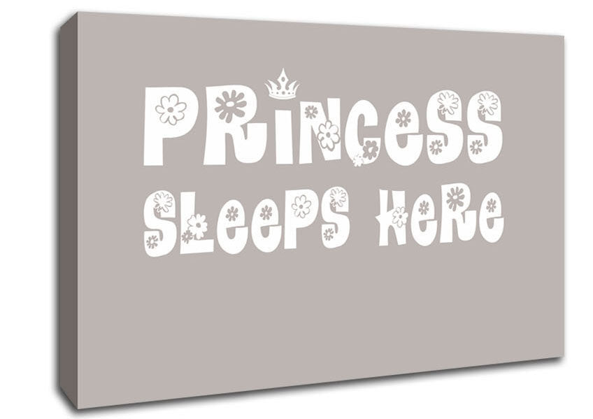 Princesss Sleeps Here Beige Canvas Wall Art