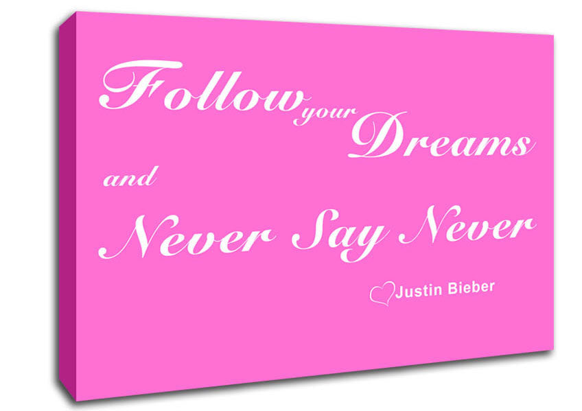 Music Quote Follow Your Dreams Justin Bieber Vivid Pink Canvas Wall Art
