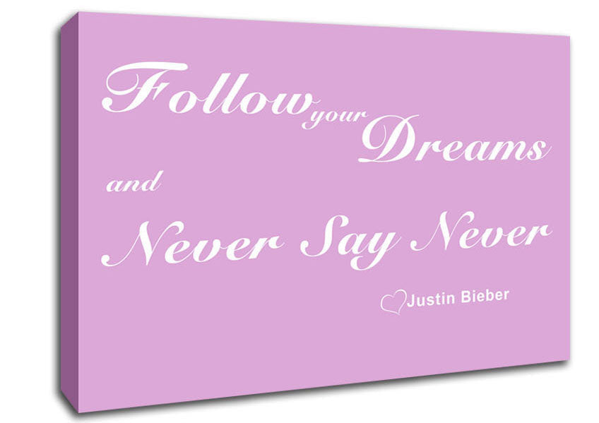 Music Quote Follow Your Dreams Justin Bieber Pink Canvas Wall Art