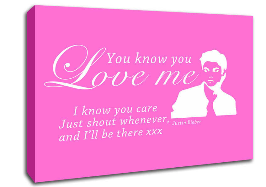 Music Quote You Know You Love Me Justin Bieber Vivid Pink Canvas Wall Art