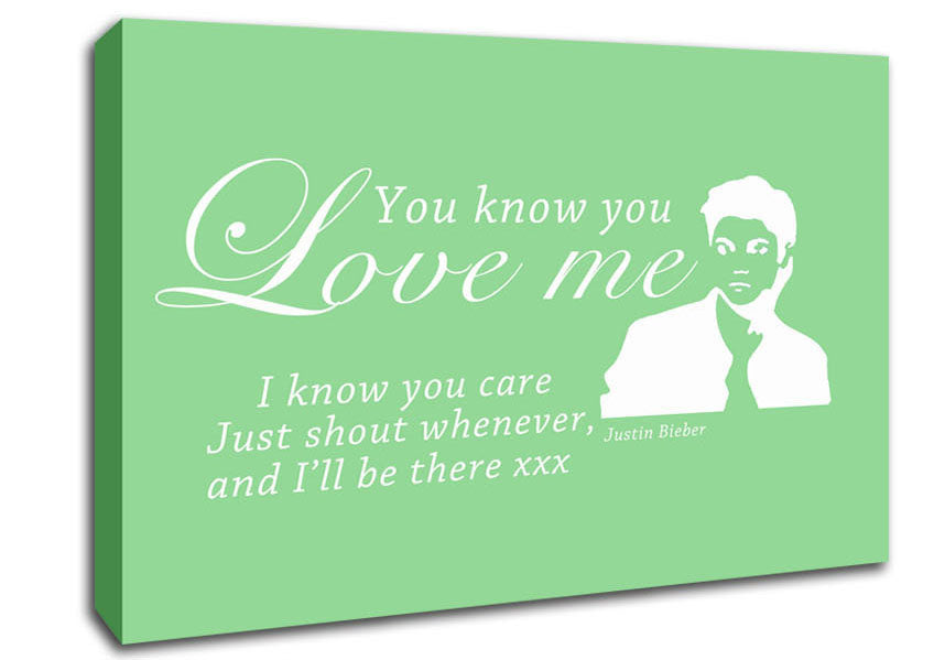 Music Quote You Know You Love Me Justin Bieber Green Canvas Wall Art