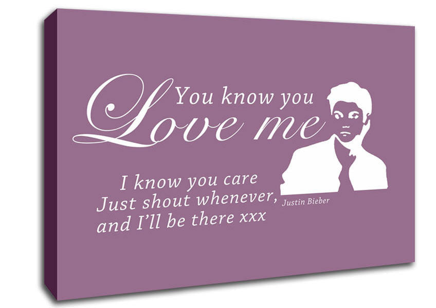 Music Quote You Know You Love Me Justin Bieber Dusty Pink Canvas Wall Art