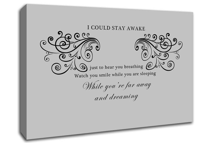 Music Quote I Could Stay Awake Aerosmith Grey Canvas Wall Art